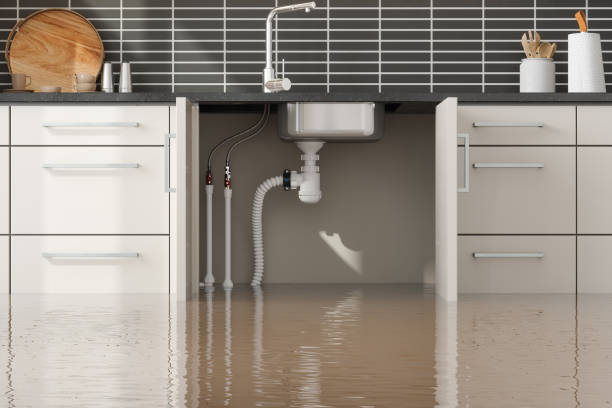 Trusted Water Damage Restoration in Chimayo, NM | Fast, Reliable, and Ready to Assist You